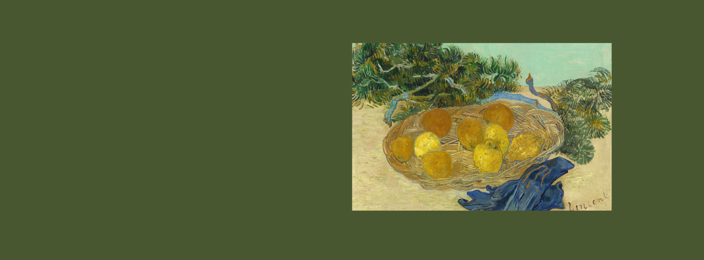 Country GROWN | ORGANIC EGGS | TWO DOZEN